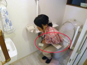 トイレ説明1